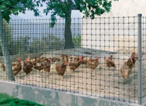 Mallas Metalicas Para Gallinas