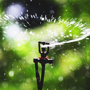 Microaspersores De Riego