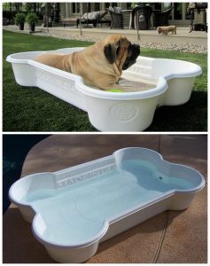 Jäykät altaat koirille