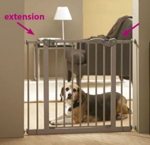 Puertas Seguridad Perros
