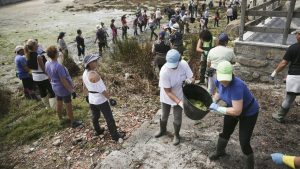 Qué hacer con el abono: 88 Cosas cotidianas para compostar (y 9 NO para)