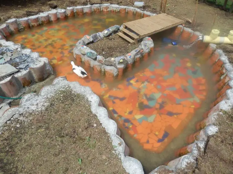 Descubre nuestras 【OFERTAS en Estanques Para Patos】 ¿A qué esperas?