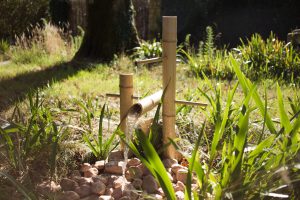 Fuentes Japonesas De Bambu