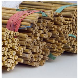 Tutores De Bambu