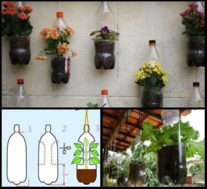 10 frugales sistemas de riego automático que le encantarán a sus plantas en maceta