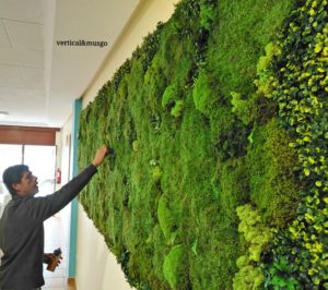 15 impresionantes ideas de jardines verticales interiores para iluminar cualquier espacio