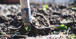 3 maneras fáciles de mejorar radicalmente su suelo usando compostaje de zanja