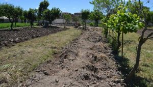 Alarmas Para Huerta