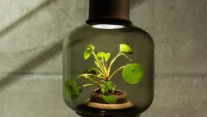 De qué se trata la vida autosuficiente y 8 consejos sobre cómo lograrla