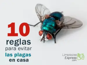 10 consejos para las plagas y otros problemas