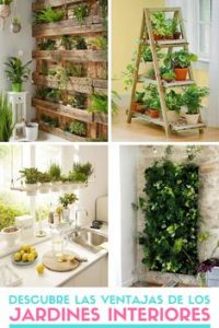 10 macetas alternativas para colocar las flores y plantas