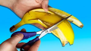 10 trucos de jardín inteligentes