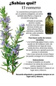 14 plantas con las que hacer excelentes y beneficiosas infusiones