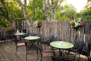 15 ideas para comer al aire libre... con estilo.