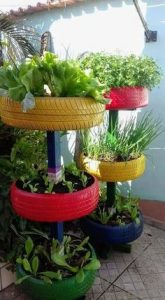 18 plantas ideales para crecer en macetas colgantes