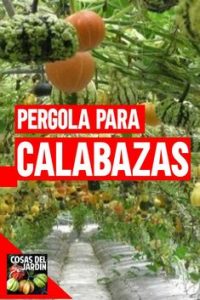 5 consejos para que la nueva temporada de jardinería tenga un buen comienzo