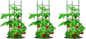 5 estructuras de apoyo a las plantas de tomate