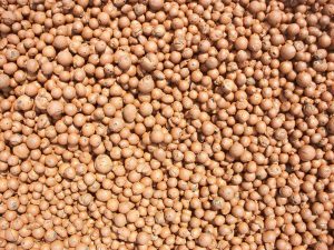 5 formas de usar "bolas de arcilla" en la jardinería