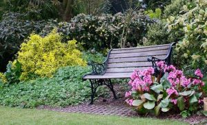 5 pasos para crear y disfrutar de un jardín aromático