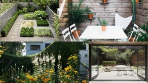 7 consejos para crear un jardín de bajo mantenimiento