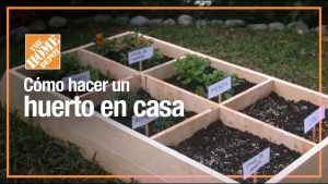 7 consejos para empezar una huerta orgánica