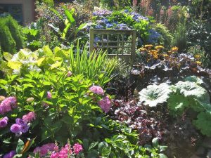 7 consejos para un jardín exuberante