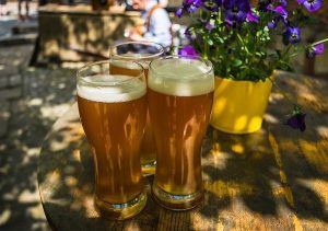 7 usos de la cerveza en el jardín