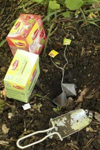 7 usos de las bolsitas de té en el cuidado del jardín