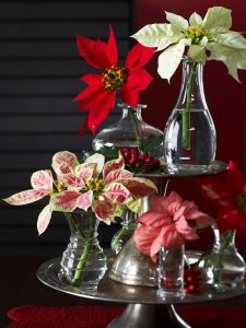 9 ideas para hacer centros de mesa florales para la Navidad