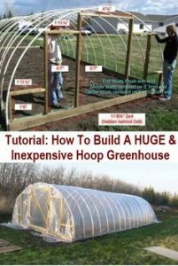 9 invernaderos de bricolaje para crecer en invierno también