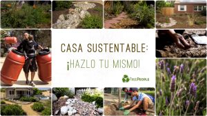 9 soluciones para pavimentar una zona de césped