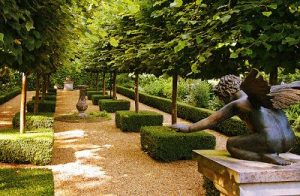 Árboles y arbustos de bajo mantenimiento para embellecer el jardín