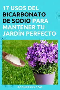 Bicarbonato de sodio en el jardín