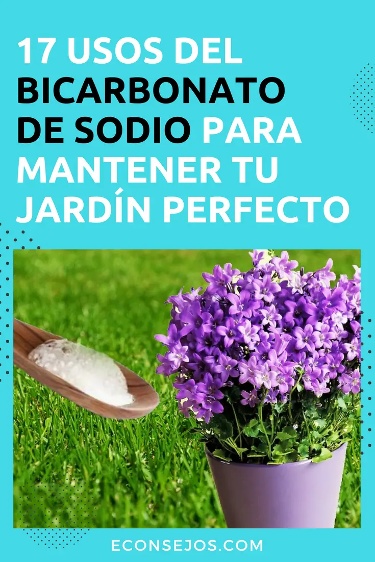 Bicarbonato de sodio en el jardín - Consejos para mi huerto