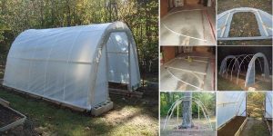 Cómo construir un invernadero paso a paso