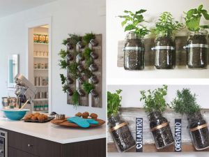 Cómo crear un huerto interior