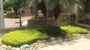 Cómo crear un jardín con poco dinero