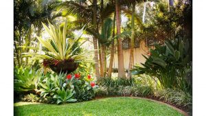 Cómo crear un jardín tropical