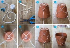 Cómo crear una maceta colgante para plantones de grasa