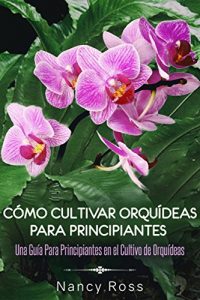 Cómo cultivar orquídeas