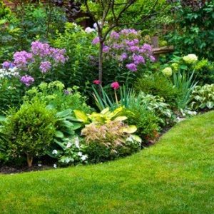 Cómo diseñar un jardín en 15 movimientos