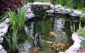 Cómo hacer un estanque con peces en el jardín
