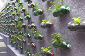 Cómo hacer un jardín vertical usando pocos recursos