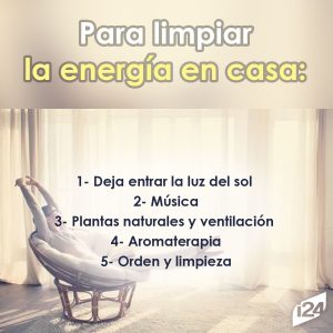 Cómo limpiar las plantas de los apartamentos: algunos consejos