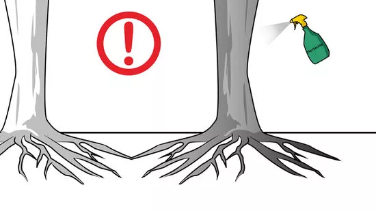 Cómo matar una planta en 7 movimientos