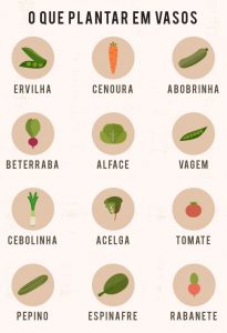 Como plantar legumes
