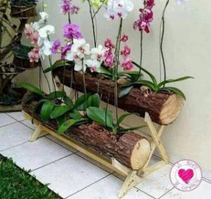 Cómo plantar orquídeas en tu jardín