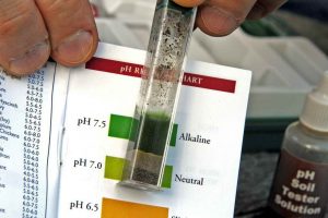 Cómo probar el pH de la tierra de un jardín