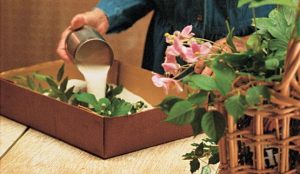 Cómo secar las flores con arena