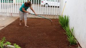 Cómo sembrar el césped del jardín